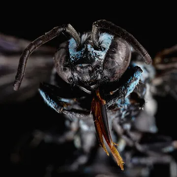 SJB World Cup Betting HK